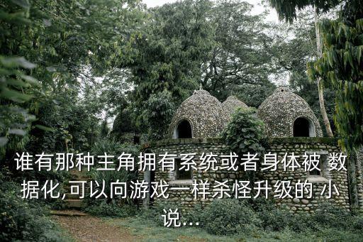 誰有那種主角擁有系統(tǒng)或者身體被 數(shù)據(jù)化,可以向游戲一樣殺怪升級的 小說...