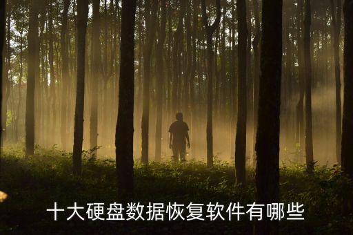 十大硬盤數(shù)據(jù)恢復軟件有哪些