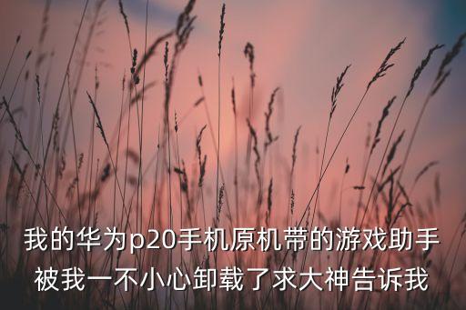 我的華為p20手機原機帶的游戲助手被我一不小心卸載了求大神告訴我