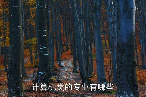 計算機軟件通信自動化專業(yè),計算機專業(yè)包括哪些?