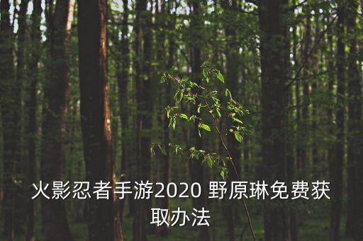火影忍者手游2020 野原琳免費(fèi)獲取辦法