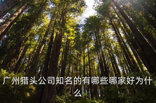 廣州獵頭公司知名的有哪些哪家好為什么