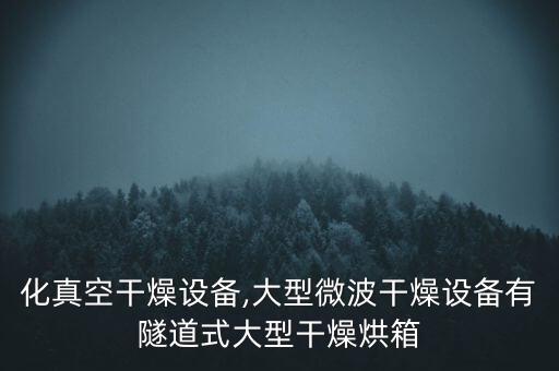 自動化真空干燥設備,大型微波干燥設備有隧道式大型干燥烘箱