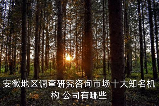 安徽地區(qū)調(diào)查研究咨詢市場十大知名機(jī)構(gòu) 公司有哪些