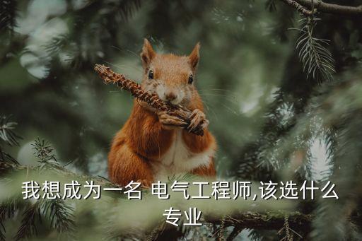 我想成為一名 電氣工程師,該選什么 專業(yè)