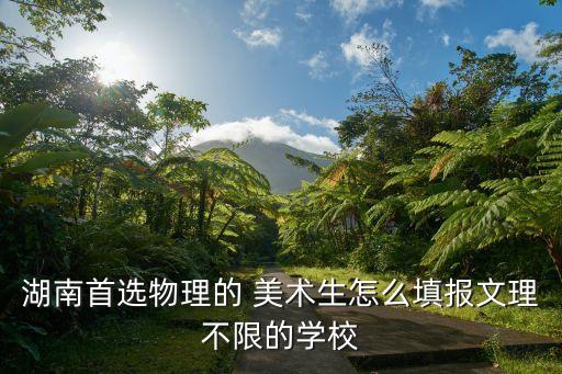 湖南首選物理的 美術(shù)生怎么填報(bào)文理不限的學(xué)校