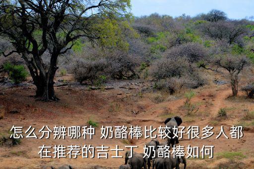 奶酪棒捆扎自動化設(shè)備廠家