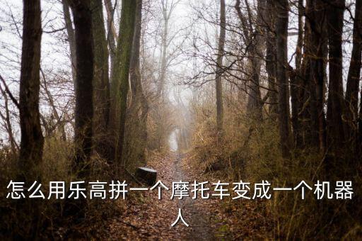 怎么用樂高拼一個(gè)摩托車變成一個(gè)機(jī)器人