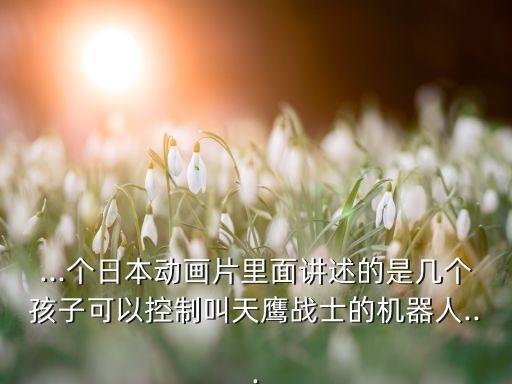 ...個(gè)日本動(dòng)畫(huà)片里面講述的是幾個(gè)孩子可以控制叫天鷹戰(zhàn)士的機(jī)器人...