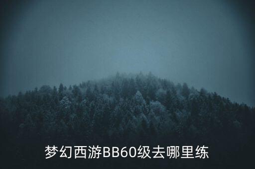 夢幻西游BB60級去哪里練