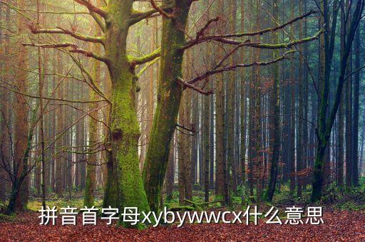 拼音首字母xybywwcx什么意思