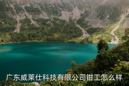 非標(biāo)自動(dòng)化訂制公司,東莞哪家公司專(zhuān)業(yè)做非標(biāo)自動(dòng)化設(shè)備?