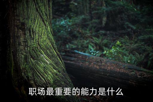 職場最重要的能力是什么