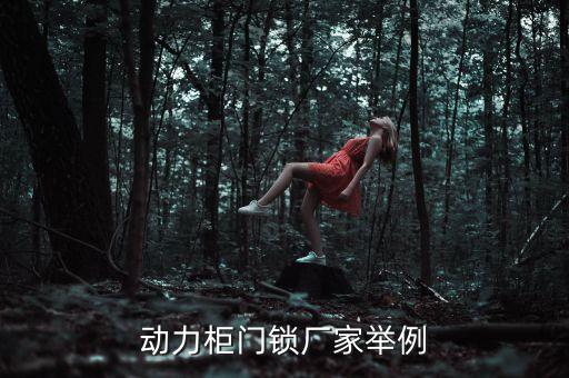 動(dòng)力柜門(mén)鎖廠家舉例