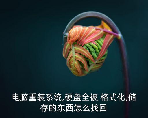 電腦重裝系統(tǒng),硬盤全被 格式化,儲(chǔ)存的東西怎么找回