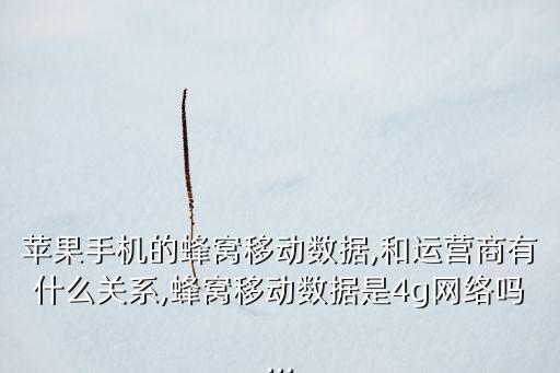 什么是數(shù)據(jù)運(yùn)營商,大數(shù)據(jù)時(shí)代的運(yùn)營商和用戶有何不同?