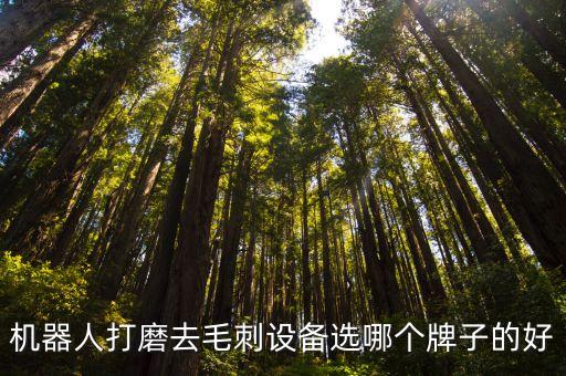 無錫自動化去毛刺設(shè)備維修價格,什么是自動化設(shè)備?