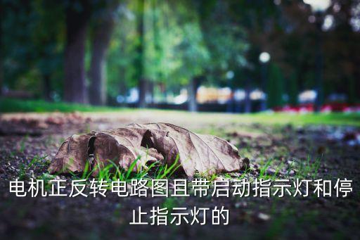 電機(jī)正反轉(zhuǎn)電路圖且?guī)?dòng)指示燈和停止指示燈的