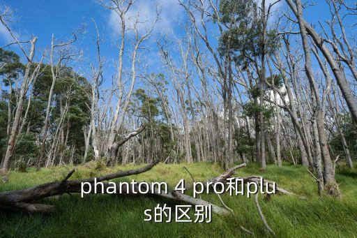 phantom 4 pro和plus的區(qū)別
