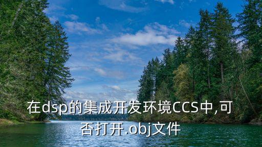 在dsp的集成開發(fā)環(huán)境CCS中,可否打開.obj文件