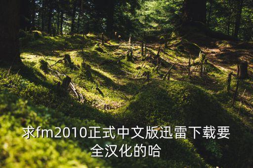 求fm2010正式中文版迅雷下載要全漢化的哈