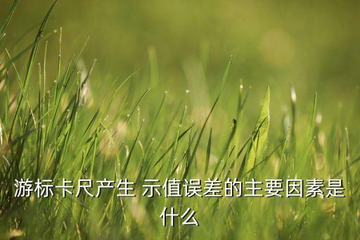 游標(biāo)卡尺產(chǎn)生 示值誤差的主要因素是什么