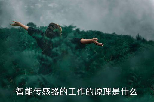 健康監(jiān)測自動化設(shè)備是什么,視覺檢測自動化是什么意思?