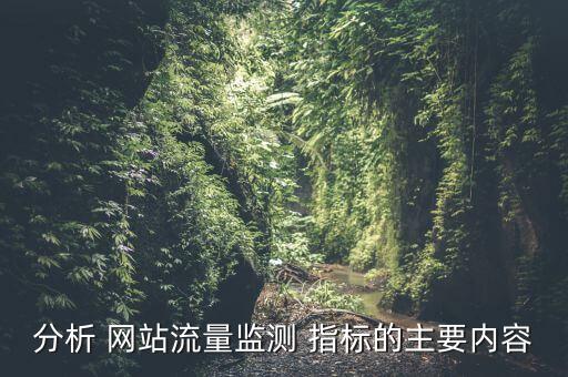 網(wǎng)站數(shù)據(jù)統(tǒng)計指標,定量數(shù)據(jù)統(tǒng)計描述指標有哪些