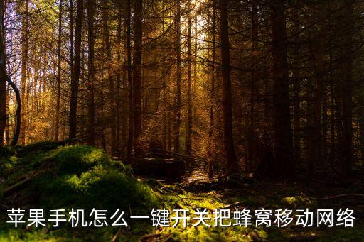 ios 11 的數(shù)據(jù)開關(guān),ios11怎么開蜂窩數(shù)據(jù)開關(guān)?