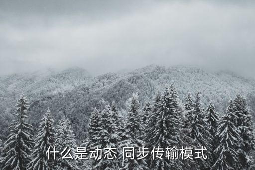 什么是動態(tài) 同步傳輸模式