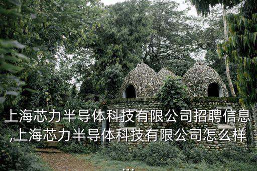 上海芯力半導(dǎo)體科技有限公司招聘信息,上海芯力半導(dǎo)體科技有限公司怎么樣...