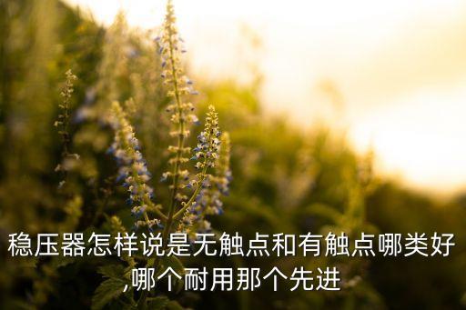 穩(wěn)壓器怎樣說(shuō)是無(wú)觸點(diǎn)和有觸點(diǎn)哪類(lèi)好,哪個(gè)耐用那個(gè)先進(jìn)