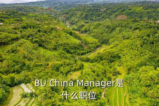 BU China Manager是什么職位