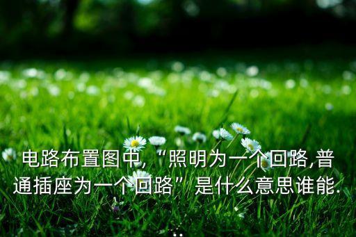 電路布置圖中,“照明為一個回路,普通插座為一個回路”是什么意思誰能...
