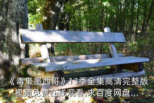 《毒梟墨西哥》13季全集高清完整版視頻免費(fèi)在線觀看,求百度網(wǎng)盤(pán)...