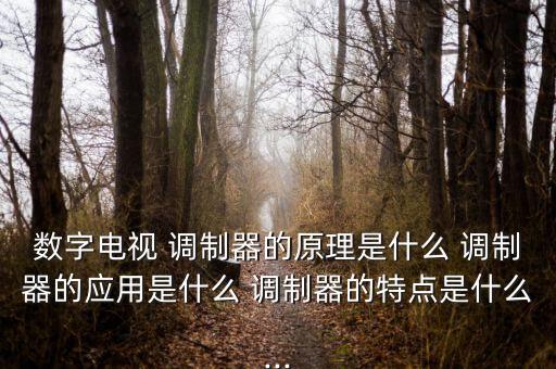 數(shù)字電視 調(diào)制器的原理是什么 調(diào)制器的應(yīng)用是什么 調(diào)制器的特點(diǎn)是什么...
