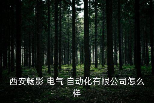 西安暢影 電氣 自動化有限公司怎么樣