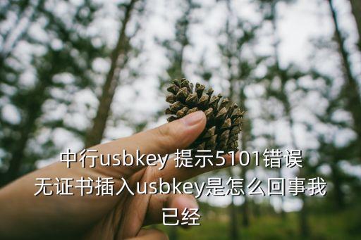 中行usbkey 提示5101錯誤無證書插入usbkey是怎么回事我已經(jīng)