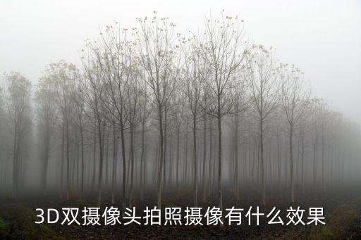 3D雙攝像頭拍照攝像有什么效果