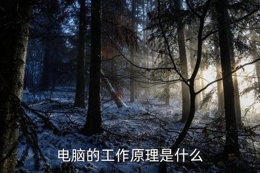 電腦的工作原理是什么