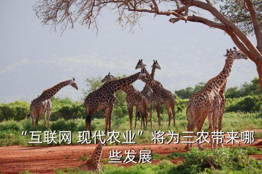 農業(yè)監(jiān)測預警大數(shù)據,農業(yè)大數(shù)據展望六大領域數(shù)據亟須推廣