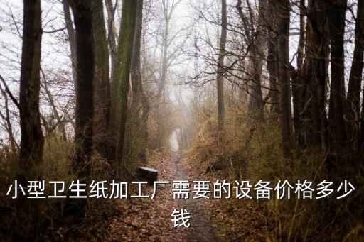 小型衛(wèi)生紙加工廠需要的設(shè)備價格多少錢