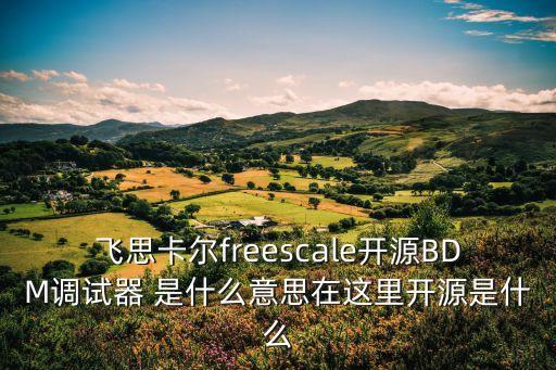 飛思卡爾freescale開源BDM調(diào)試器 是什么意思在這里開源是什么