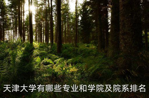 天津大學有哪些專業(yè)和學院及院系排名