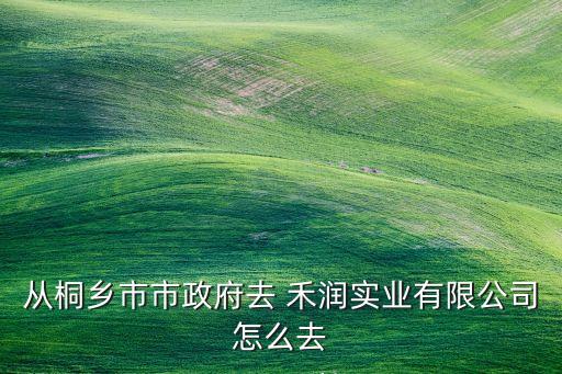 從桐鄉(xiāng)市市政府去 禾潤實業(yè)有限公司怎么去