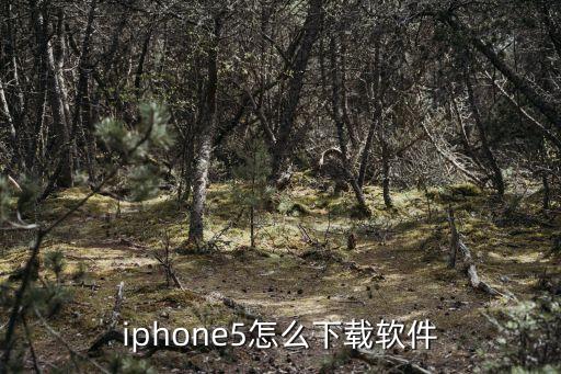 iphone5怎么下載軟件
