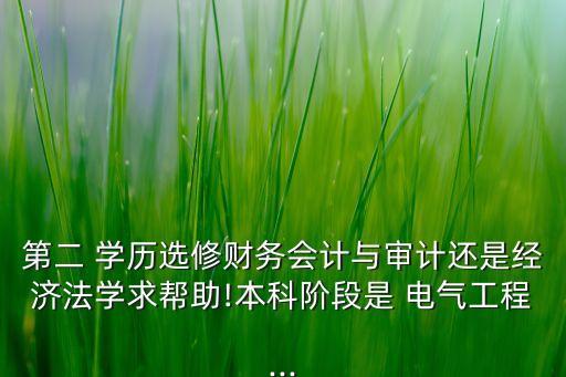 第二 學(xué)歷選修財(cái)務(wù)會(huì)計(jì)與審計(jì)還是經(jīng)濟(jì)法學(xué)求幫助!本科階段是 電氣工程...