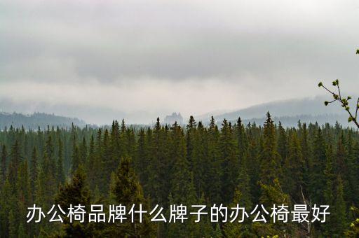 辦公椅品牌什么牌子的辦公椅最好