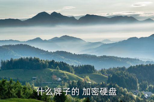 什么牌子的 加密硬盤