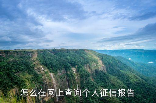 怎么在網(wǎng)上查詢個(gè)人征信報(bào)告